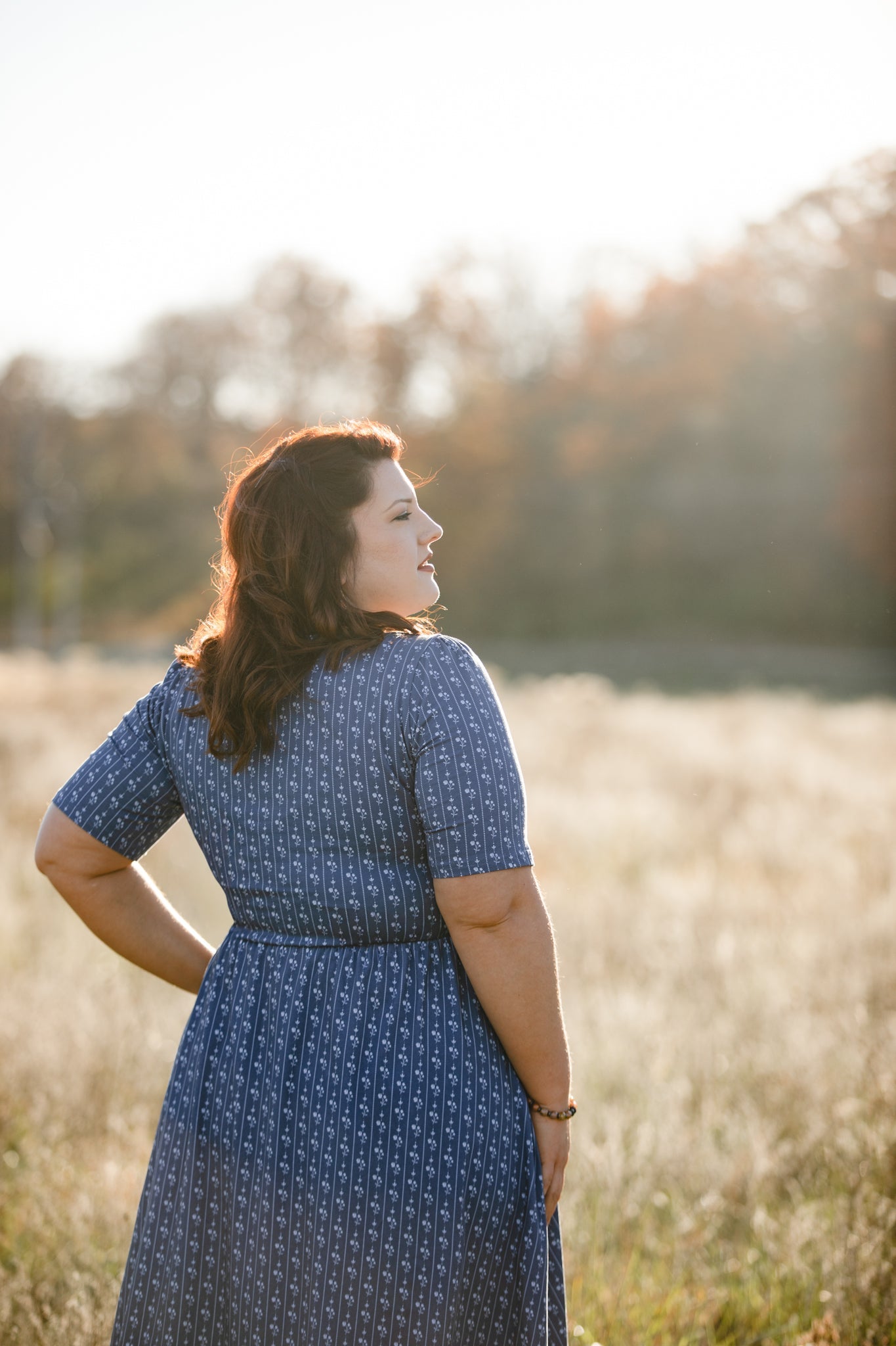 Larkspur ~ Everyday Dress — gallery