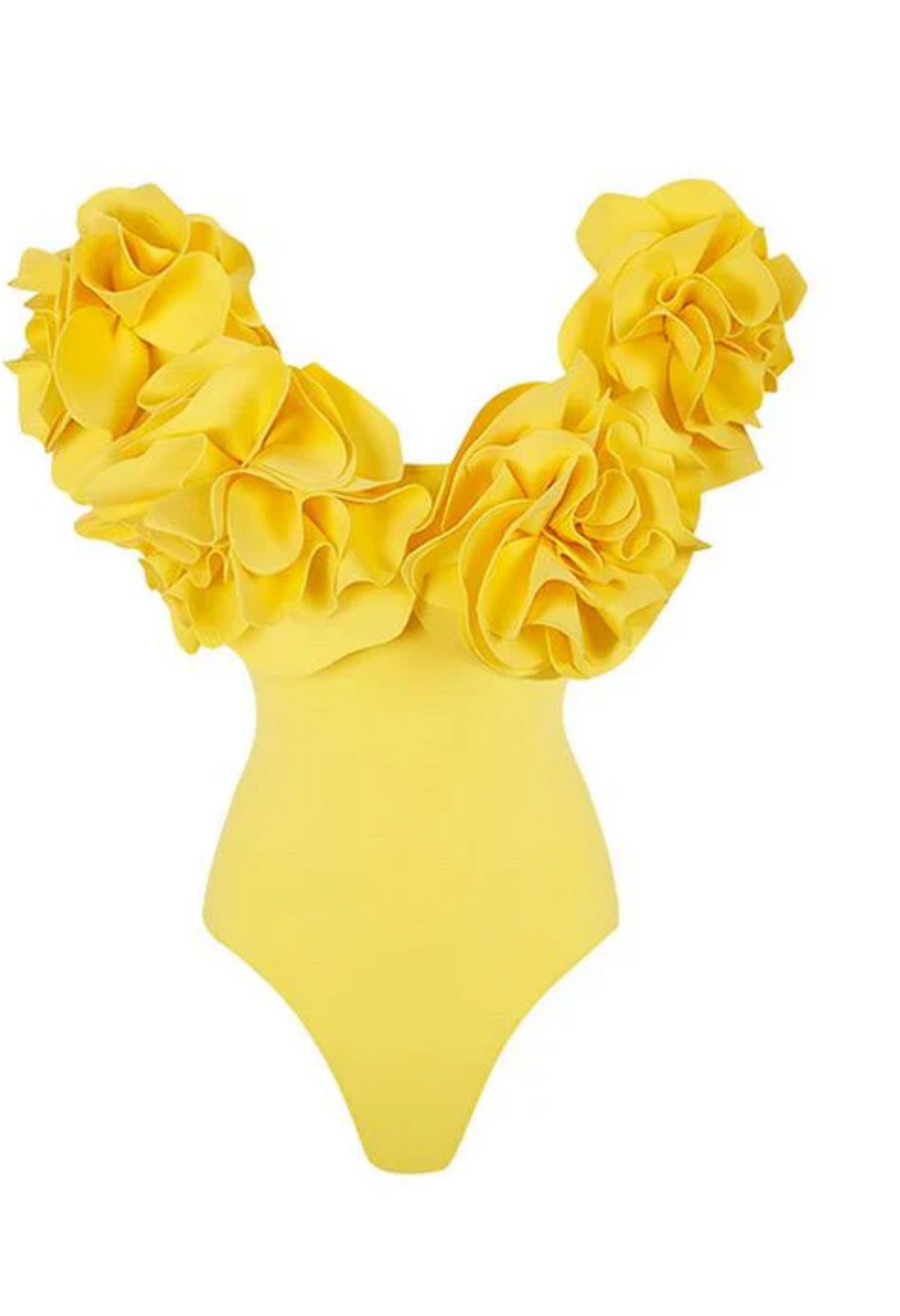 Bleza Floral Padded Monokini Bodysuit for Women - gallery