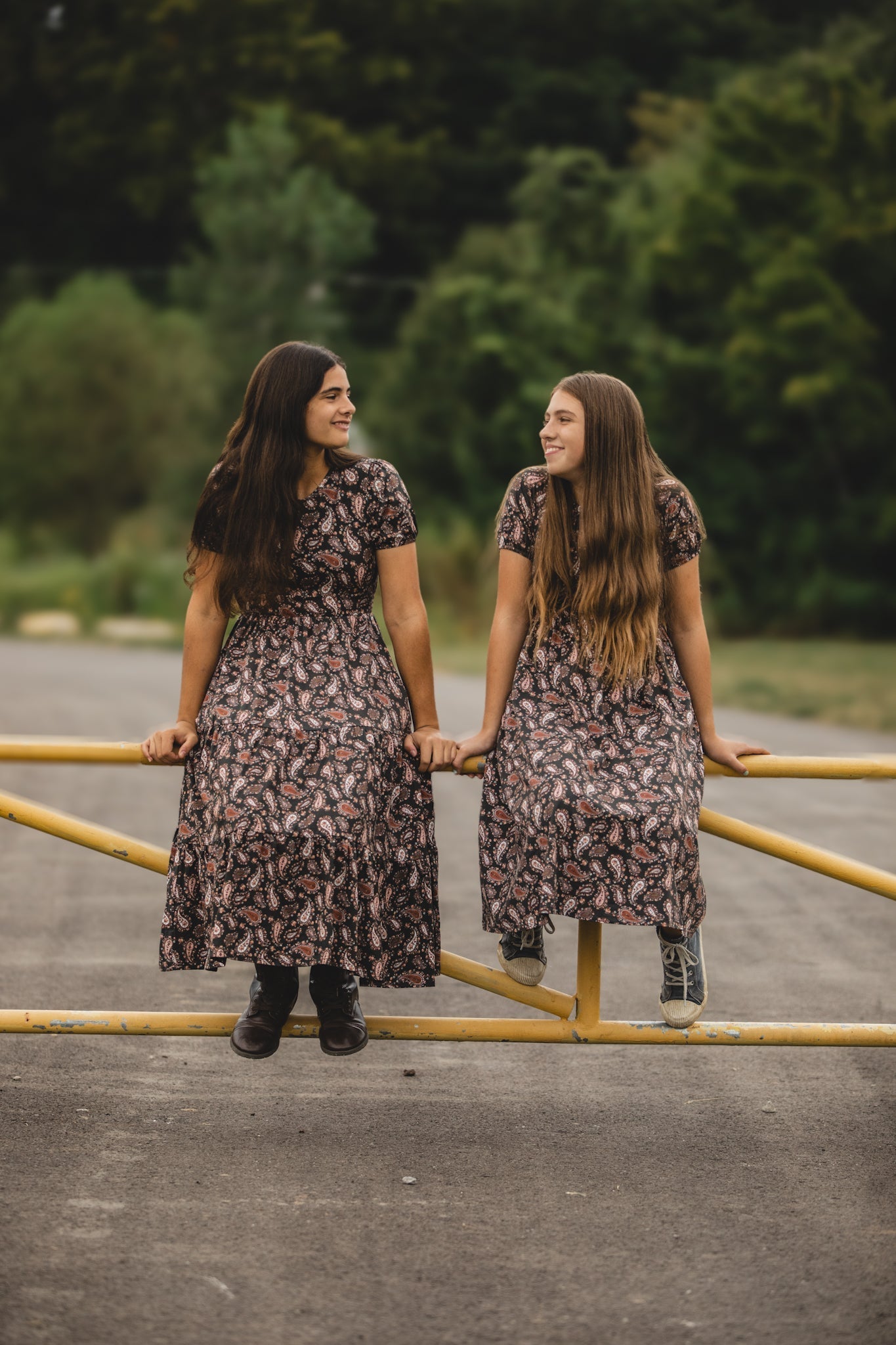 Pine & Paisley ~ Storybook Dress — gallery
