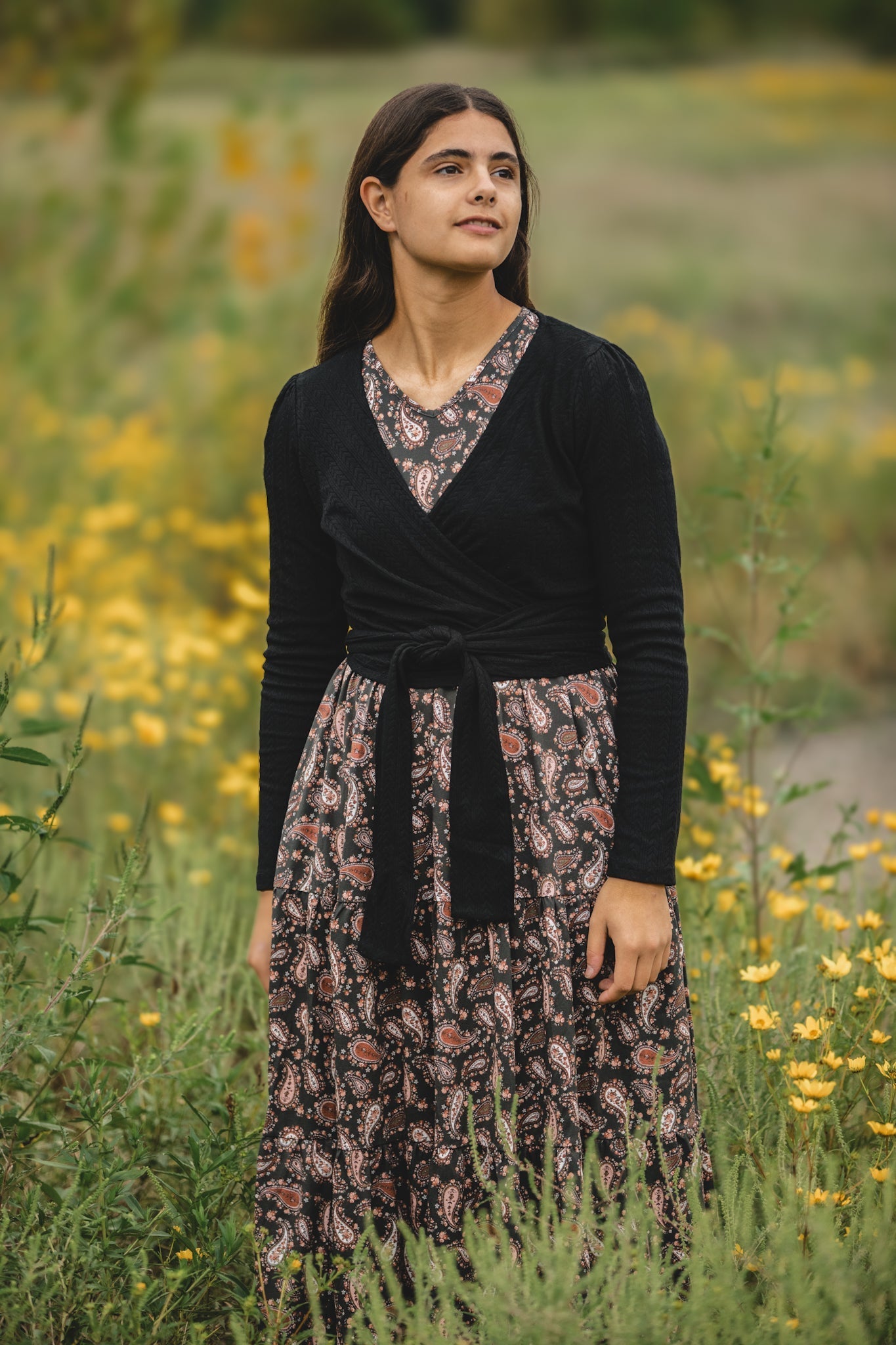 Pine & Paisley ~ Storybook Dress — gallery